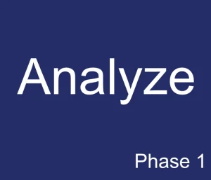 Phase 1 of Adlius Services - Analyze
