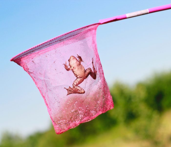 gotcha-2026-01-06-10-23-34-utc